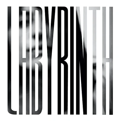 Imagen de Labyrinth