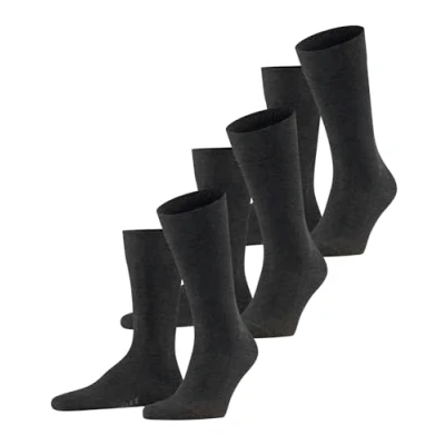Imagen de FALKE Family 3 Pack M SO algodón sostenible unicolor pares, Calcetines Hombre, Gris (Anthracite Melange 3080) nuevo ecológico, 39 42