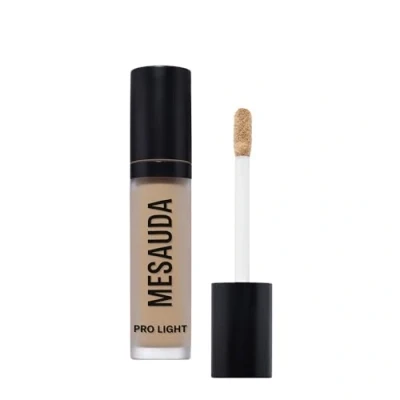 Imagen de Mesauda Milano Pro Light Concealer 90 ml g