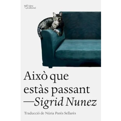 Imagen de Això que estàs passant (L&#039;Altra Narrativa)