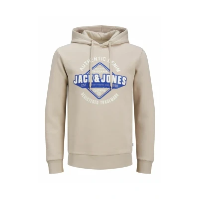Imagen de Sudadera con capucha y logotipo Jack &amp; Jones