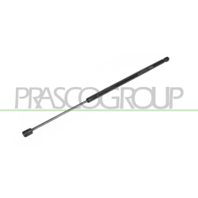 Imagen de PRASCO FT4209070 Amortiguador de maletero 810 603 Atrás izquierda, derecha FIAT: Stilo Hatchback