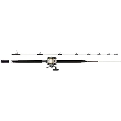 Imagen de Mitchell Performance Caña para Barco + Carrete Combo RH 1.68m (10 30g) pesca de mar