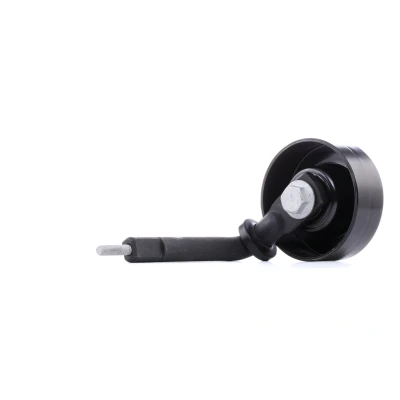 Imagen de INA 531 0788 10 Polea Tensora BMW: X5, 5 Berlina, 3 LAND ROVER: Freelander I SUV Cabrio, Range Rover 3, norauto, oscaro,