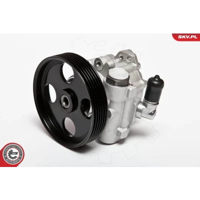 Imagen de ESEN SKV 10SKV004 Bomba de Direccion RENAULT: Kangoo I, I Express, MEGANE 1, PEUGEOT: Partner Combispace, 306 Hatchback, 406 Berlina
