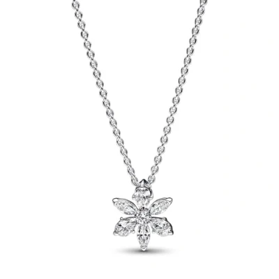 Imagen de Pandora Timeless Mujeres Collar Plata 392387C01 45