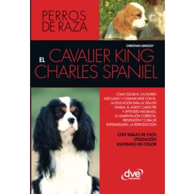Imagen de El cavalier king charles spaniel