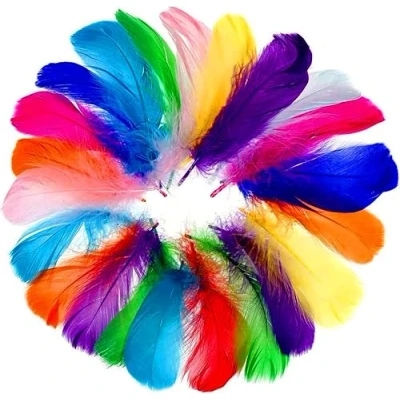 Imagen de Faburo 500 plumas de colores, 8 12 cm, en colores mezclados