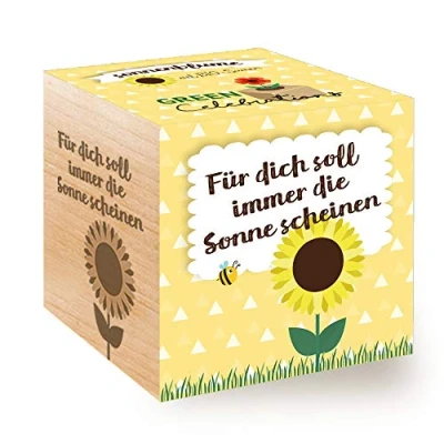 Imagen de Feel Green Celebrations Ecocube, Girasol Semillas biológicas, Cubo de Madera con Grabado láser «Für Dich Soll Immer Die Sonne Scheinen», Idea Regalo sostenible, Set Cultivo Fabricado en Austria