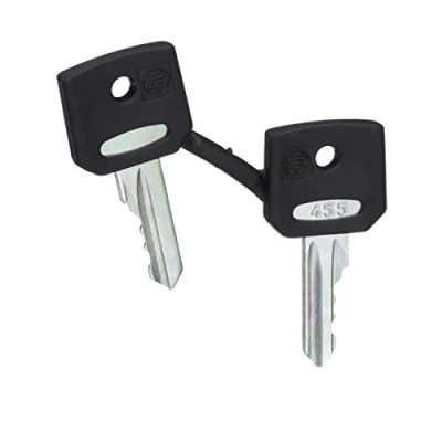 Imagen de Schneider Electric ZBG455 Juego de 2 Llaves N 455