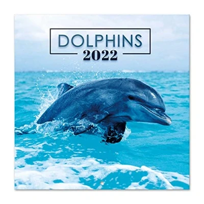 Imagen de Grupo Erik Calendario delfines 2022 pared animales mensual Producto con licencia oficial