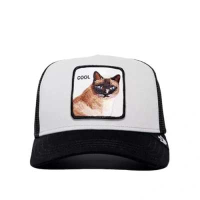 Imagen de Gorra Goorin Bros V2 Cool Cat gris UNICA
