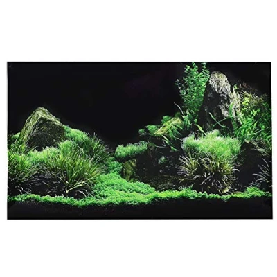 Imagen de póster autoadhesivo con efecto 3D, fondo marino, terrario de reptil, acuario, subacuático, papel pared decoración PVC (61 x 40 cm)