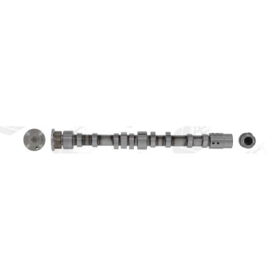 Imagen de AE CAM1006 Árbol de Levas Entrada VOLKSWAGEN: GOLF 5, 6, CC, SEAT: Leon II Hatchback, Ibiza 3, Altea XL, AUDI: A3 Sportback, A1 Hatchback