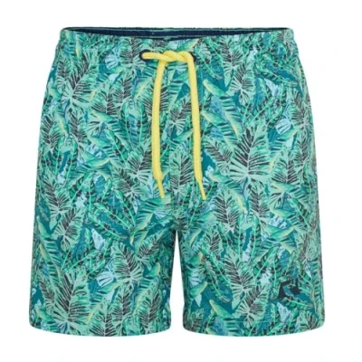 Imagen de RIPT Performance Niño Essentials Pantalones cortos de baño secado rápido con protección solar UV 50, Hoja verde, 7 8 Años