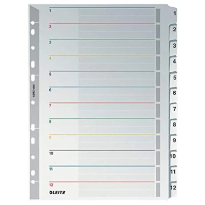 Imagen de Leitz A4 Índice Regrabable 1 12, Cartón Rígido con Pestañas de Mylar, Extra Ancho, Gris, 43320000