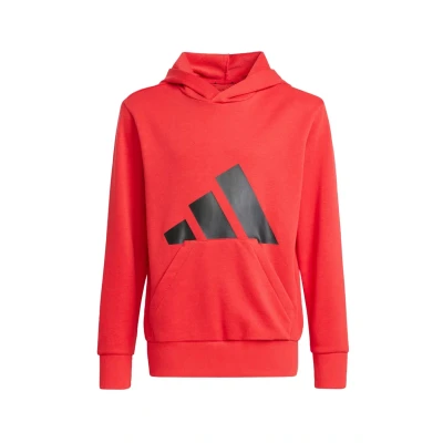 Imagen de adidas Unisex niños Essentials Big Logo Hoodie, Pure Ruby/Black, 15 16 Years