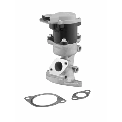 Imagen de WAHLER 710976D Válvula EGR eléctrico LAND ROVER: Discovery 3, 4, Range Rover Sport