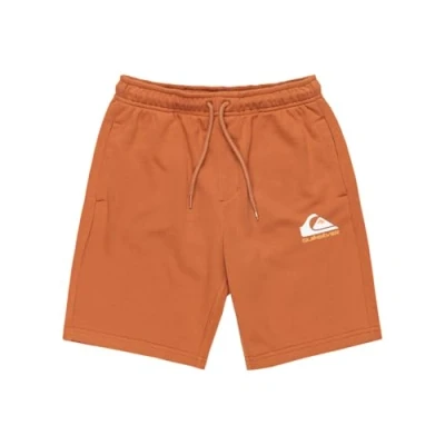 Imagen de Quiksilver EASY Jogger Youth Pantalones deportivos para niños, Talla: 14a, Brown