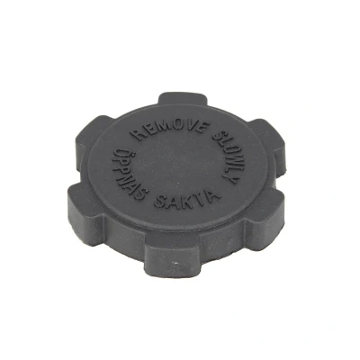 Imagen de Tapa, depósito de agua THERMOTEC DBSC004TC