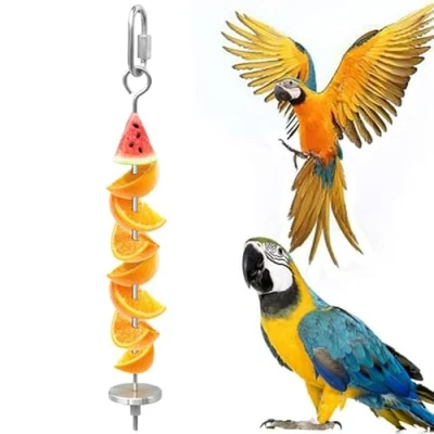 Imagen de Oumefar Soporte de Comida para pájaros Acero Inoxidable, pincho Loros, palitos Fruta Herramienta Tratamiento Alimentos Loros Aves(L)