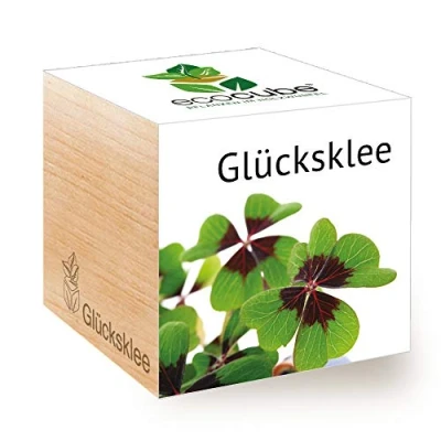 Imagen de Feel Green Ecocube Lucky Clover, Idea de regalo sostenible (100% respetuoso del medio ambiente), Cultiva tu propio / Set plantas, Plantas en cubo madera, Hecho Austria