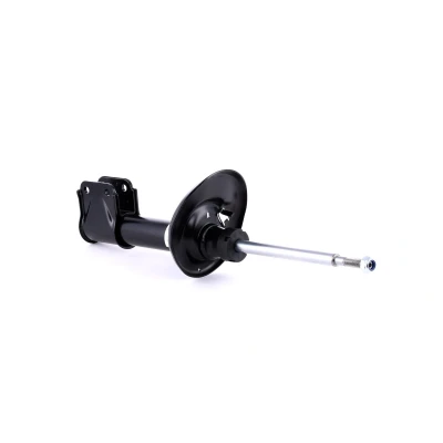 Imagen de BILSTEIN B4 OE Replacement 22 226723 Amortiguador CITROËN: Berlingo II, C4 Picasso 1, I Grand Picasso, PEUGEOT: Partner II Furgón norauto, oscaro