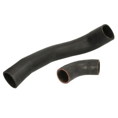 Imagen de Manguera de aire carga THERMOTEC DCG183TT