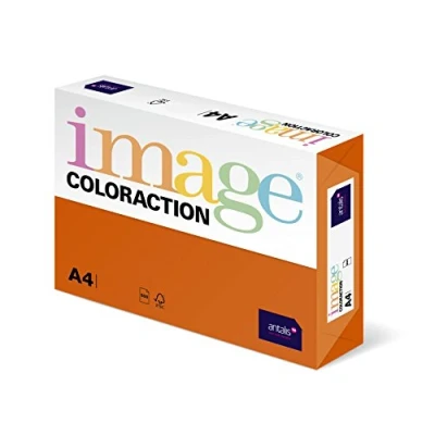 Imagen de Antalis Juego educativo (Coloraction 838A 160S 15)