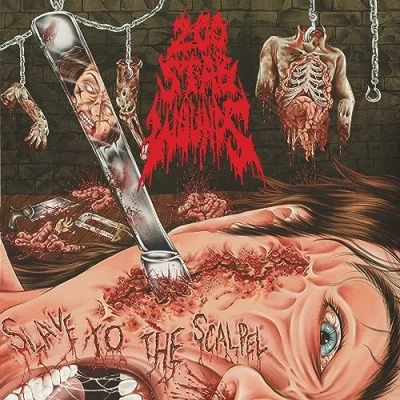 Imagen de Slave to the Scalpel
