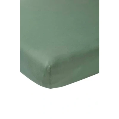 Imagen de Meyco Home Basic Jersey sábana Bajera Individual Cama Doble (sábana Suave, de algodón 100%, Transpirable, Dimensiones: 180 x 200 cm), Verde Bosque
