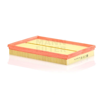 Imagen de MANN FILTER C 31 123 Filtro de aire 42 209 309 Cartucho filtrante