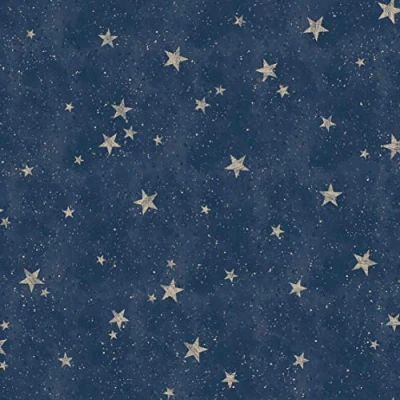 Imagen de Fine Décor M1490 Starlight Stars Papel pintado, diseño de estrellas, color Azul Marino