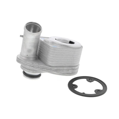 Imagen de VEMO V24 60 0011 Radiador de Aceite con junta EXPERT KITS + FIAT: Ducato III Furgón, Camión plataforma / Chasis