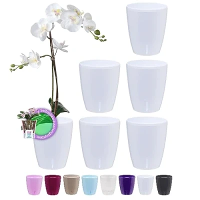 Imagen de Santino Juego de 6 Macetas para Orquídeas Ø 12cm Autorriego con Sistema Mecha e Indicador Nivel Agua Interior (Ø 1,3L Blanco)