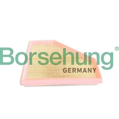 Imagen de Filtro de aire Borsehung B12292