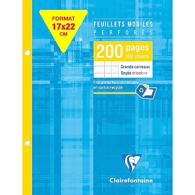Imagen de Clairefontaine 1351C Hojas sueltas perforadas 17x22 cm 90g cuadrados grandes, 200 Paginas (1 Unidad)