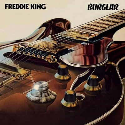Imagen de Burglar (Special Gatefold Edition) [Vinilo]