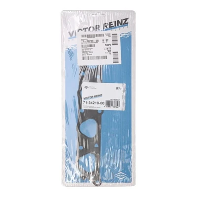Imagen de REINZ 71 34219 00 Junta Colector de Admision SEAT: Leon I Hatchback, Toledo 2 Limousine, VOLKSWAGEN: Golf 4, 4 Variant, Polo III Hatchback