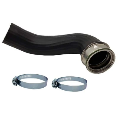 Imagen de BUGIAD 81924 Manguera Turbo 66 con abrazaderas