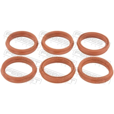 Imagen de Junta anular, cavidad bujía FEBEST RINGOL 063 PCS6