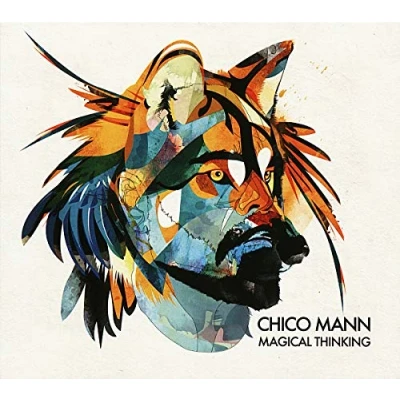 Imagen de Magical Thinking [Vinilo]