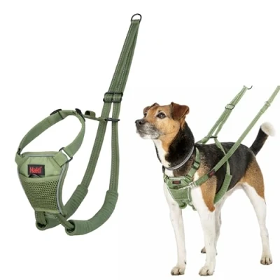 Imagen de Arnés Anti tirones HALTI para Evitar Que tu Perro Tire de la Correa, Ajustable, Ligero y Fácil Usar. Reflexiva Adiestramiento canino Perros pequeños (Talla XS, Bosque Verde)