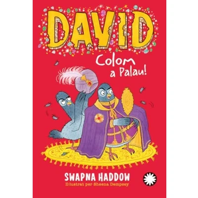 Imagen de David Colom a Palau!: 4