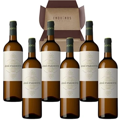Imagen de Vino José Pariente Pack 6 Botellas de Verdejo 75 cl D.O. Rueda Envío 24H Gratis Mejor Selección ENOVINOS