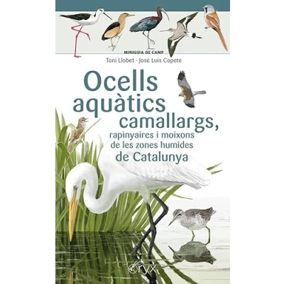 Imagen de Ocells aquàtics camallargs, rapinyaires i moixons de les zones humides Catalunya (Miniguia camp)
