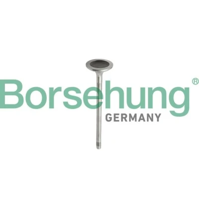 Imagen de Juego de segmentos del pistón Borsehung B10343