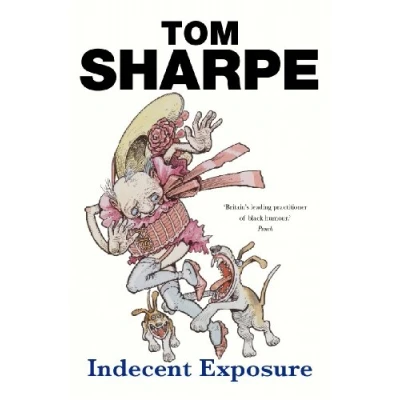 Imagen de Indecent exposure