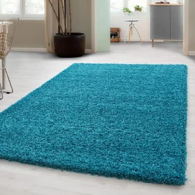 Imagen de Carpetsale24 Alfombra de Pelo Largo para Salón Turquesa Alfombras Habitacion Sala Estar Modernas Suave y Esponjoso, 120 x 170 cm