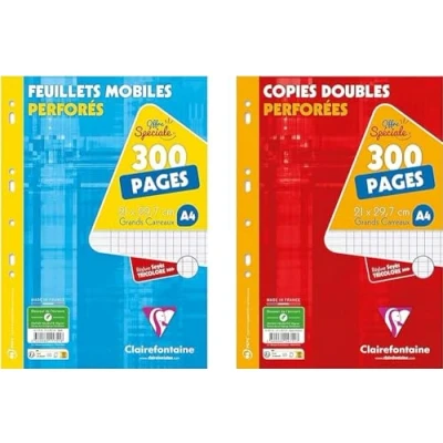 Imagen de Clairefontaine 11791AMZC Lote de 2 fundas copias perforadas: 500 páginas hojas móviles + copiadas dobles, A4 21 x 29,7 cm, grandes baldosas papel blanco 90 g